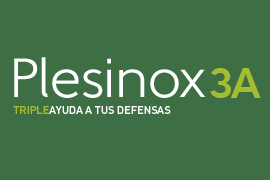 LogoPlesinox3A1