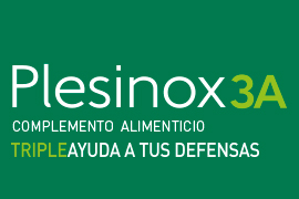 LogoPlesinox3A1-1a